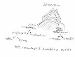 Kuinka Käyttää Unia Hyväksi Stressin Hallinnassa?