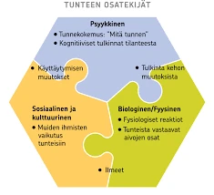 Miksi Unet Ovat Tärkeitä Mielenterveydelle?