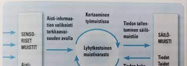 Miten Kuunnella Musiikkia Muistin Parantamiseksi?