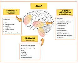 Psykologiset Traumat Ja Erilaiset Unihäiriöt