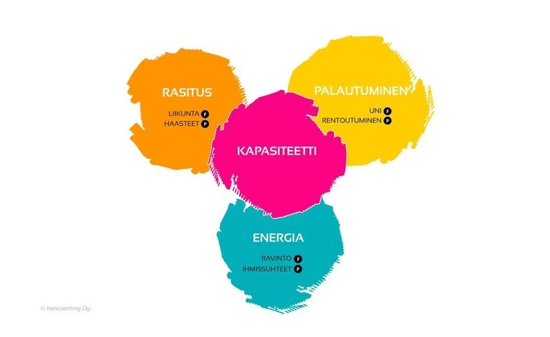 11. Lämminmätöt Ja Energialevitteet