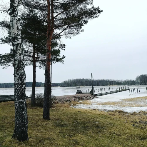 Kuinka Tulkitse Unia Koirasta?