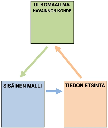 Serotoniinin Merkitys Unennäkemisessä