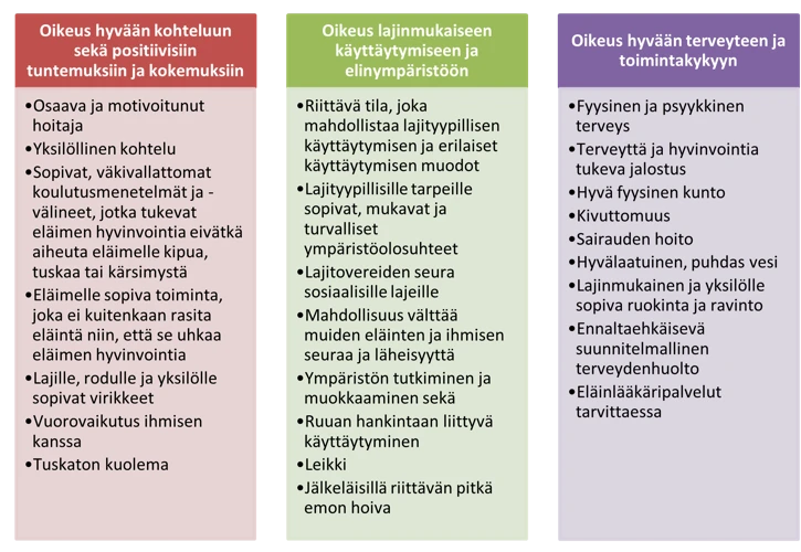 Akvaariokalojen Merkitys