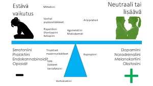 Erektion Selittäminen