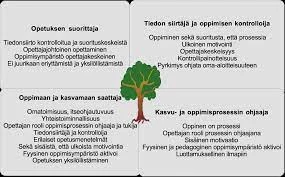 Itseopiskelu Ja Elinikäinen Oppiminen