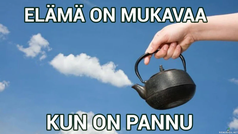 Kissaystävä Unen Tulkinnassa