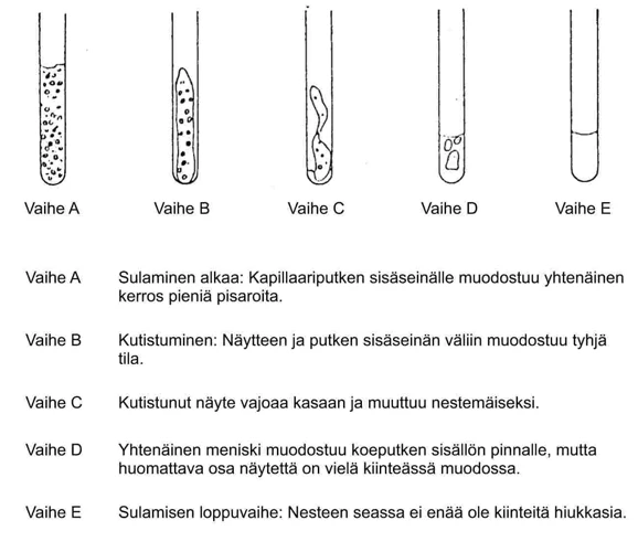 Kuolin Unen Taustatietoja