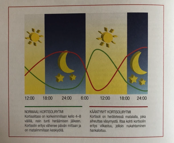 Mitä Vadelma Symboloi?