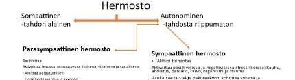 Suomalaisten Unikokemukset Alkoholin Vaikutuksessa