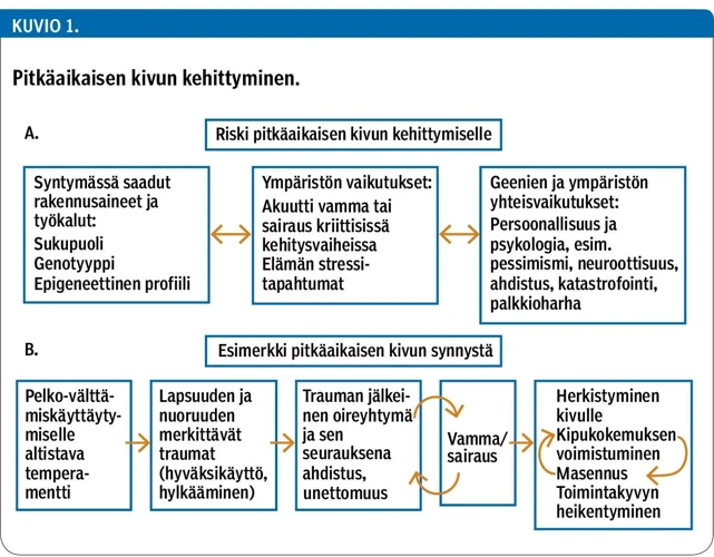 Unen Hyväksikäytön Käsite