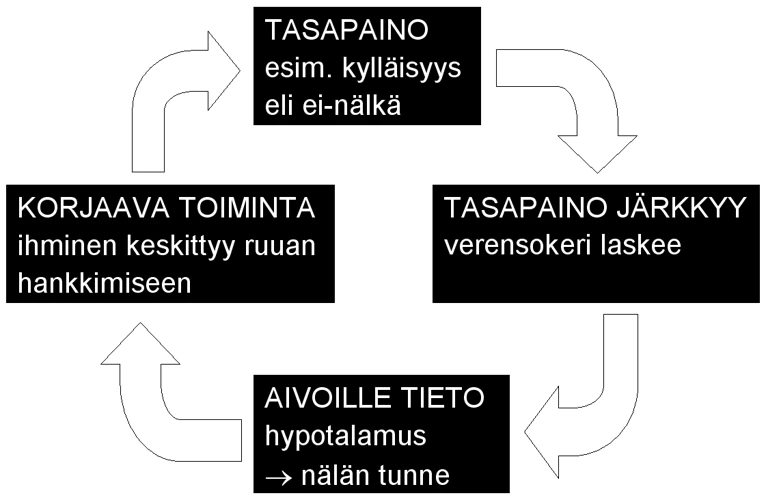 Unen Merkitys Takapuolista Eri Kulttuureissa